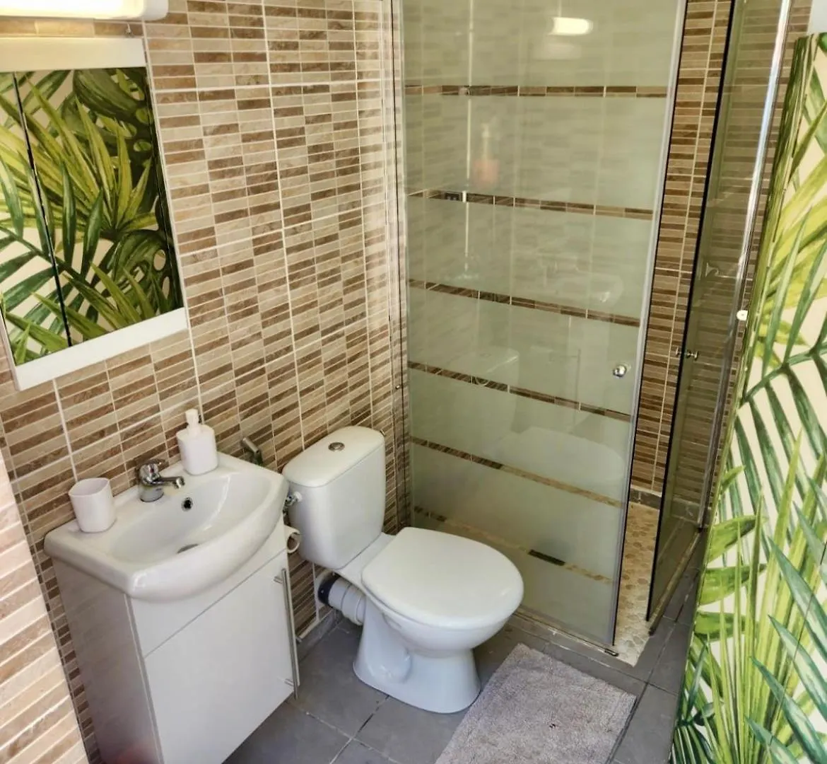 Au Pied De La Soufriere Apartment Saint-Claude 0*,