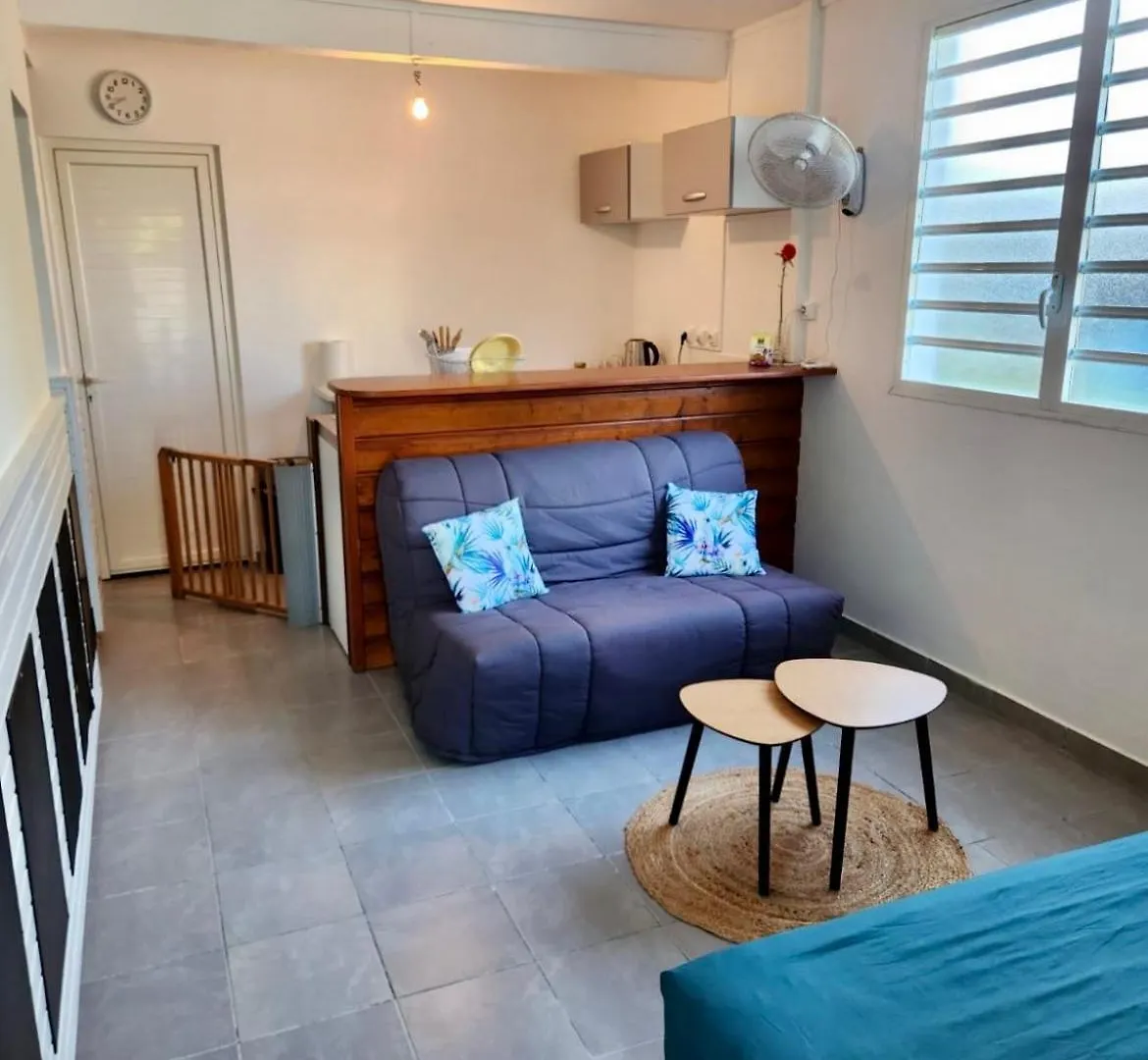 Au Pied De La Soufriere Apartment Saint-Claude